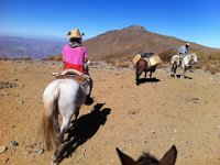 Altiplano 20140189