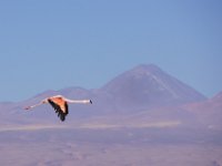 DSC00845