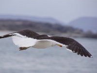 DSC08408