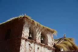 DSC 3500
