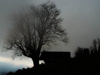 DSC00435