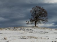 DSC00616 001