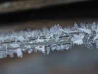 DSC00808 001