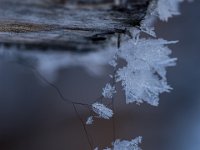 DSC00846