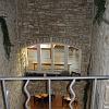 IMG_0427