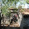 IMG_0500