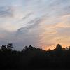 IMG_1351